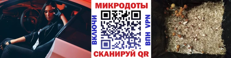 Галлюциногенные грибы прущие грибы где продают наркотики Судогда